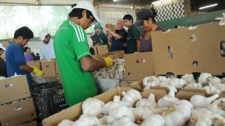 Ajeros mendocinos y brasileros trabajan para neutralizar el avance de China en el vecino país