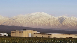 Bodega Doña Paula Oro en sustentabilidad en los Best Of  en Burdeos ¿Qué dicen los ganadores?