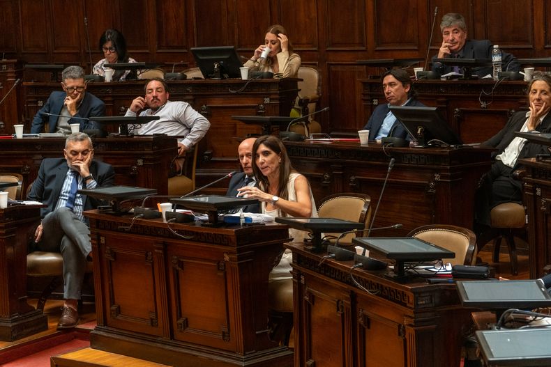 PSJ Cobre Mendocino avanzó en el Senado y el peronismo se fracturó ...