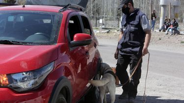 Lo que dejó el finde navideño en las rutas: muertos, heridos y más de 1.000 actas viales