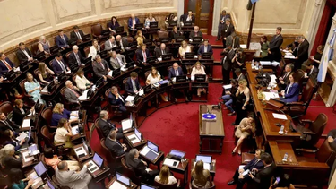 El debate en el Senado alrededor del DNU 70/2023 de Javier Milei continuará esta semana. Cómo votarán los legisladores de la provincia de Mendoza.