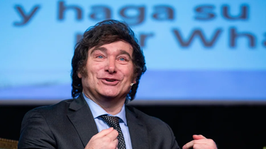 Javier Milei se hunde en las encuestas y queda entre los peores valorados de América Latina Javier Milei se hunde en las encuestas y queda entre los peores valorados de América Latina