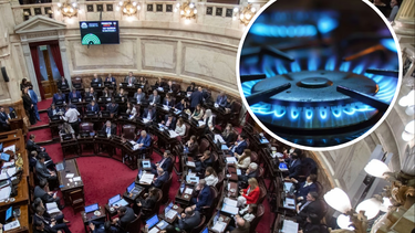 Casi toda Mendoza perdió el subsidio por Zona Fría.