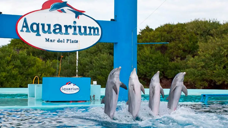 La polémica también gira en torno al estado de los animales.