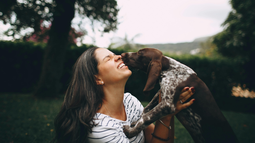 Mascota: por qué los perros saltan de alegría al ver a sus dueños