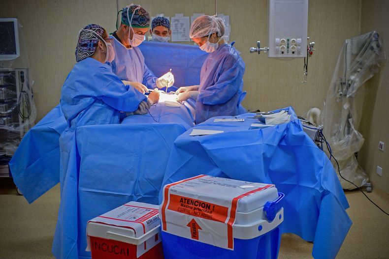 Récord nacional de donación de órganos: el Hospital Central lidera los trasplantes en Mendoza.