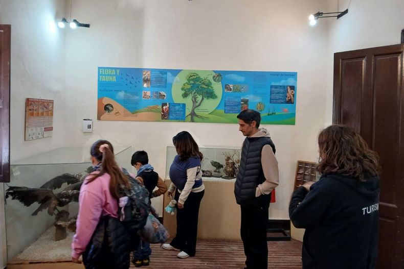 Conocé el Museo Histórico y Natural de Lavalle