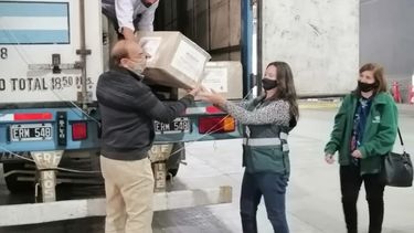 El Iscamen concretó la primera exportación a Chile de pupas esterilizadas de moscas del Mediterráneo