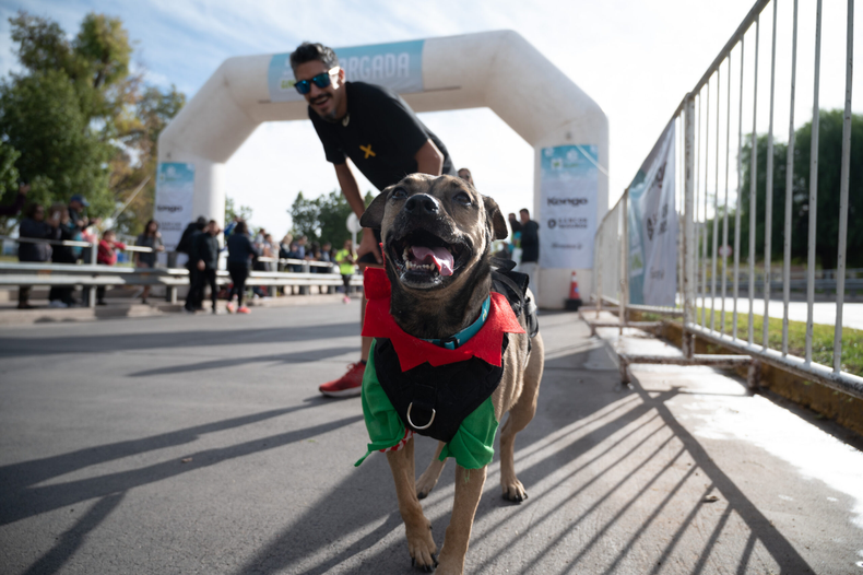 La Municipalidad de Mendoza impulsa una nueva edición de la Maratón Animal 2025