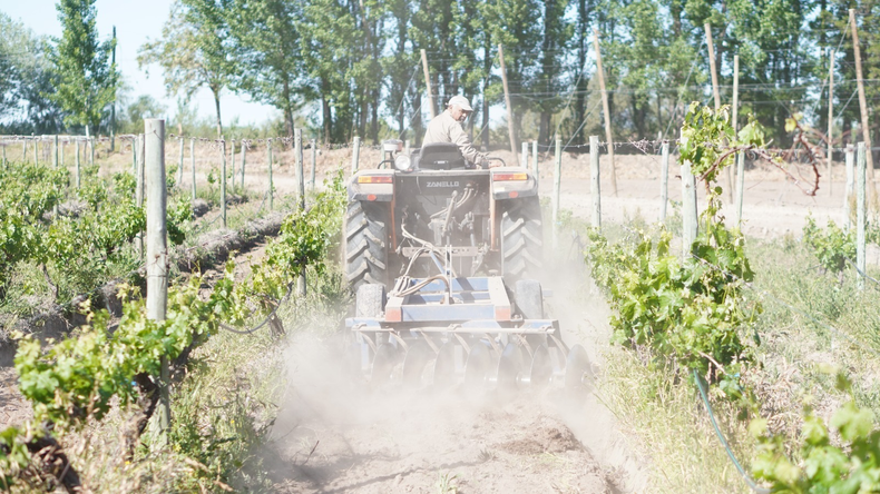 Capacitación en riego agrícola.