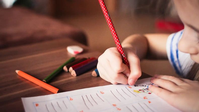 Existe una ley provincial que permite tener una educación inclusiva y de calidad.