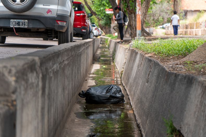 Dengue: tras las intensas lluvias en Mendoza, Salud brindó una serie de recomendaciones.