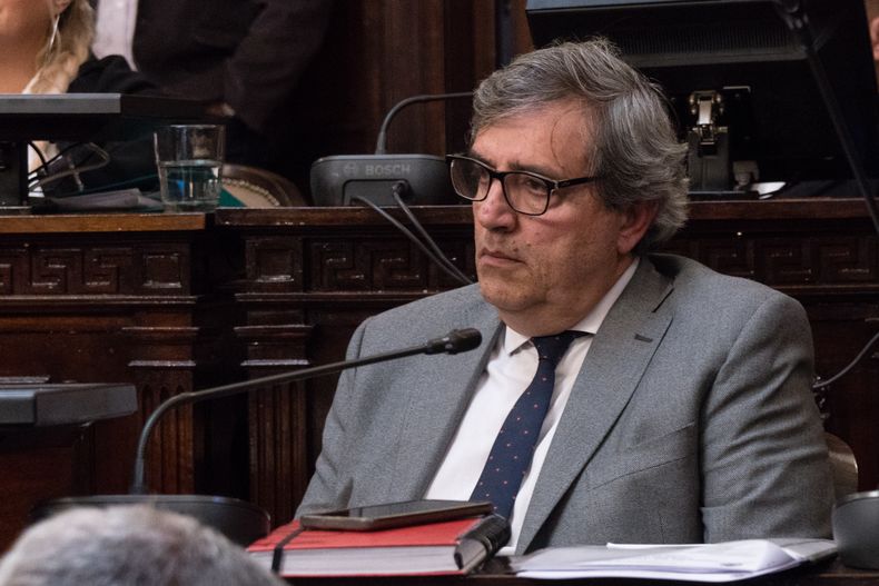 Armando Magistretti, presidente del PD, apuesta a un frente liberal conservador, sin expresiones 