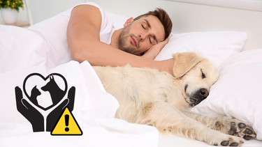 Sitio Andino | dormir con el perro.png