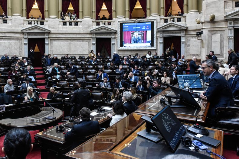 El Gobierno tendrá una dura parada en Diputados para sostener los vetos del presidente