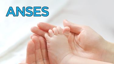 Complemento Leche del Plan 1000 días: cuánto y cuándo cobro en abril 2026 Complemento Leche del Plan 1000 días: cuánto y cuándo cobro en abril 2026