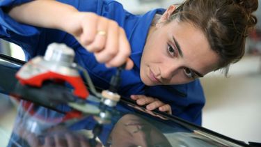 Extienden beneficios para crear empleo en blanco