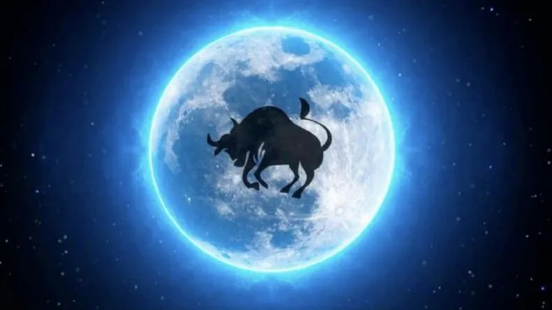 Astrología | Para Tauro, la energía de Sagitario ilumina su zona vinculada a recursos en común y decisiones estratégicas