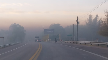 Continúan las heladas tardías en el Valle de Uco: de cuánto fueron las mínimas