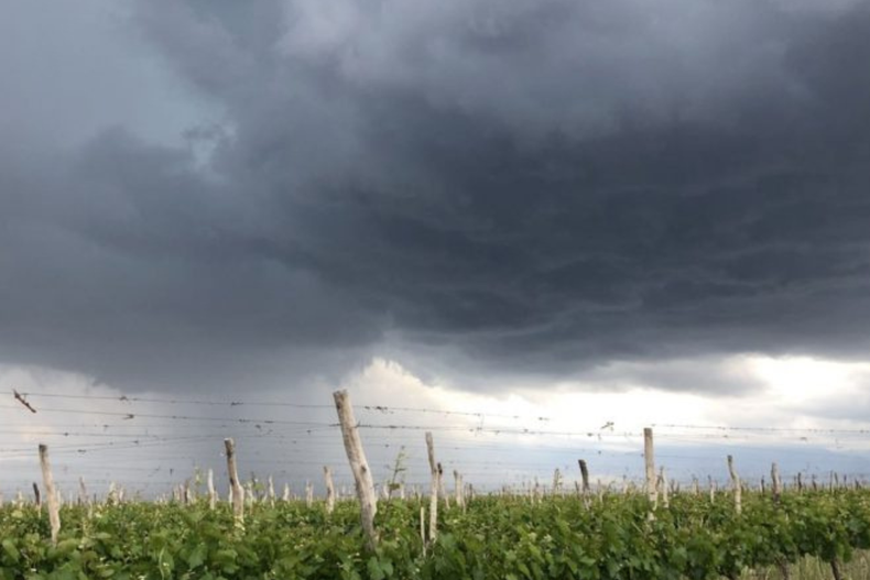 Atención productores: el Gobierno de Mendoza habilitó un registro tras la severa tormenta de granizo