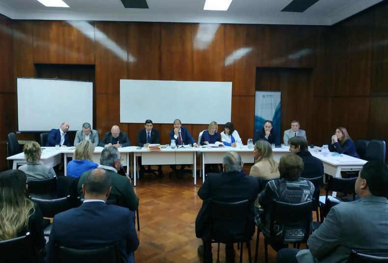 Audiencia Pública