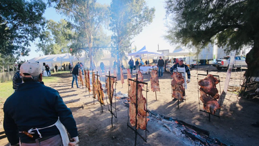 Fiesta Nacional de la Ganadería: Día de Campo. Fiesta Nacional de la Ganadería: Día de Campo.