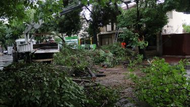 Sitio Andino | Los árboles cayeron y complicaron aún más la situación. Foto: Yemel Fil.