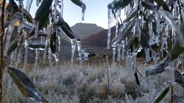 En Malargüe las temperaturas bajo cero se registraron en la zona urbana y rural (Foto gentileza Malargüe Impacta).