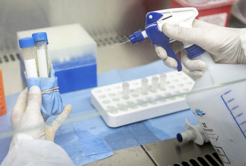 LABORATORIO VACUNA CORONAVIRUS