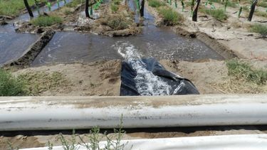 Expertos se reúnen en Mendoza a debatir sobre agua y estrategia