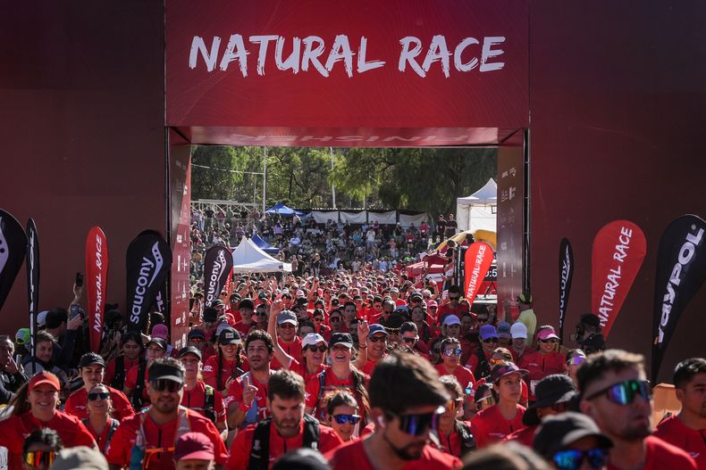Hormigas rojas en la montaña: la obra salvaje de la Natural Race