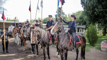Afortunada, Villano y Curaca, tres caballos emblemáticos de la Policía Montada, se despidieron definitivamente del servicio activo Afortunada, Villano y Curaca, tres caballos emblemáticos de la Policía Montada, se despidieron definitivamente del servicio activo