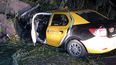 Tunuyán: un taxista falleció tras impactar contra un árbol caído, producto del viento Zonda