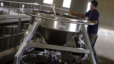 Sitio Andino | otoño, turismo bodegas, viña, viñedo, vino, vitivinicultura, uva, fruto, tardío, trabajadores, trabajo, día del trabajador, producción, economía