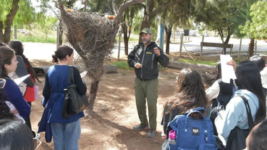concientizacion y accion: el plan de lavalle para proteger al aguila coronada