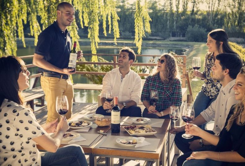 Turismo vitivinicola