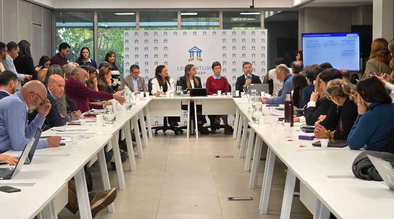 El proyecto para explorar litio en el sur provincial comenzó a tratarse en comisiones.