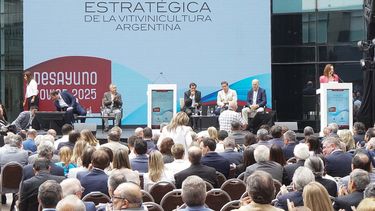 Un proyecto parlamentario generó polémica en Mendoza y las provincias vitivinícolas