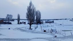 Ola polar en Mendoza: nieva en el Sur y el Valle de Uco ¿cuándo en el Gran Mendoza?.
