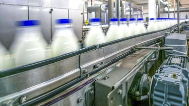 el contraste de la industria de la leche argentina, sube la produccion, pero caen las empresas