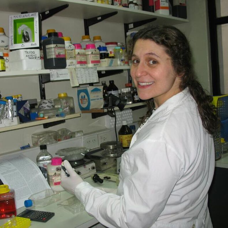 La Dra Virginia Pistone Creydt, en el laboratorio del CONICET.      