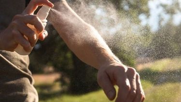 La ANMAT prohíbe la venta de este repelente de mosquitos de marca conocida: de cuál se trata