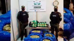Incautaron otros 160 kilos de hoja de coca en la Terminal de Ómnibus