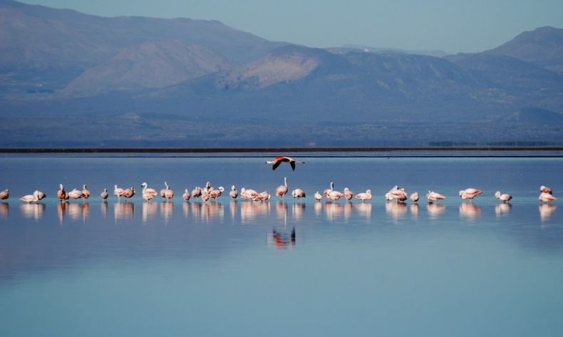 Turismo en Mendoza: la joya natural de Malargüe que todo turista debe conocer