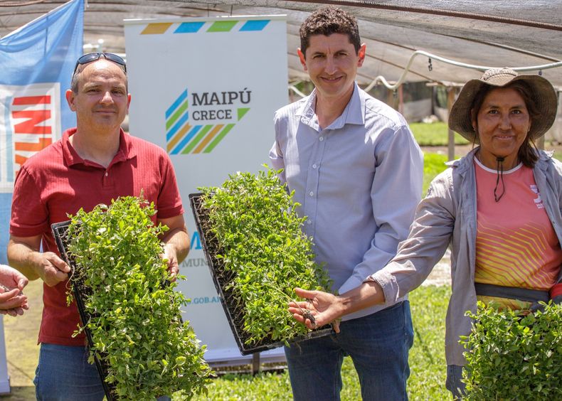 La Municipalidad de Maipú propone estrategias para el desarrollo sustentable entregando más de 35 mil plantines.
