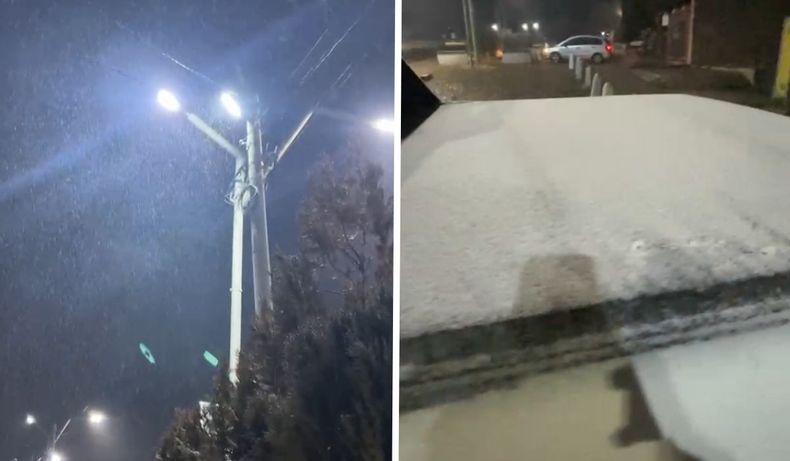 Video: los primeros copos de nieve llegaron a Mendoza y transformaron el paisaje
