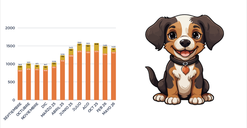 Menos de 100 departamentos de los 1439 revelados aceptan mascota. 