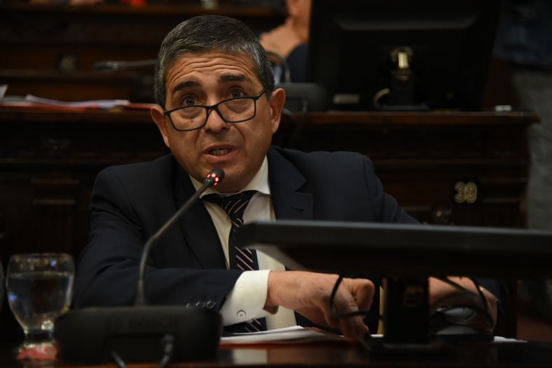 Walther Marcolini brindó detalles del proyecto que crea el Registro del Cannabis y Cáñamo Industrial