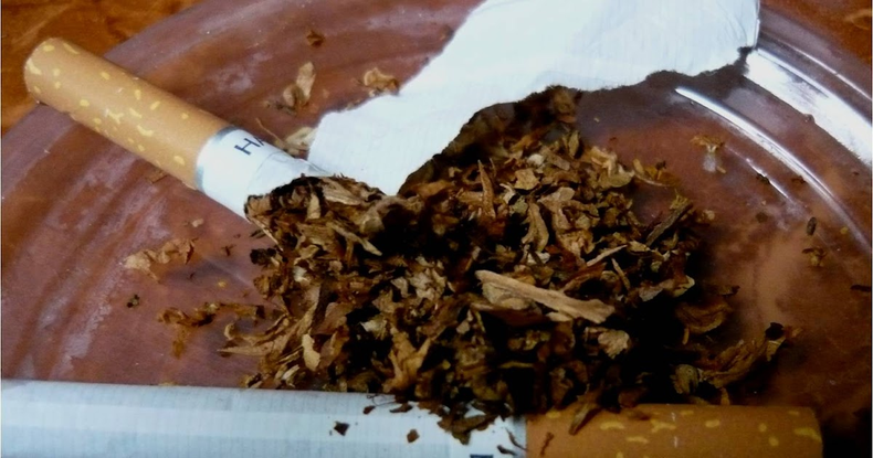 Trucos de la jardinería: cómo preparar insecticida casero 