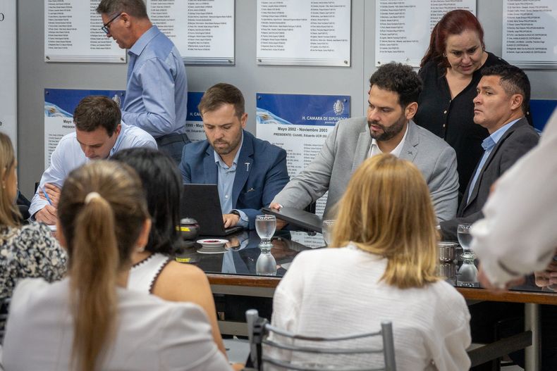 Plenario de comisiones.